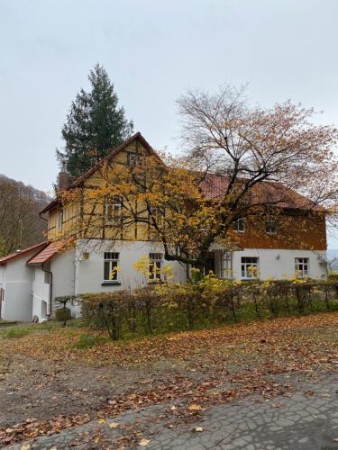 Ferien Langer Grund mitten im Wald