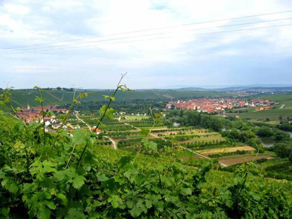 Ferien- und Winzerhof Ute Braun Hallburger Weg 4, 97334 Nordheim