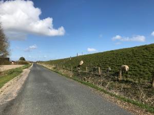 Appartements Ferienanlage Achtern Diek Stinteck 4 25704 Thalingburen Schleswig-Holstein