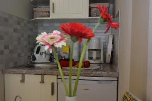 Ferienapartments Urlaub und Meer
