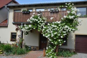 Ferienappartements \