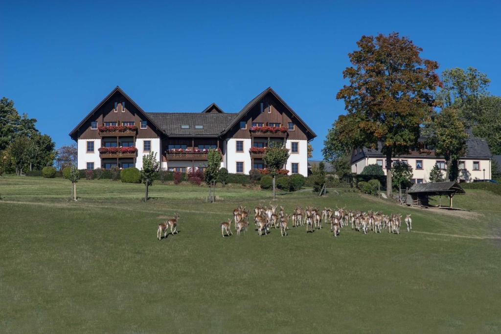Ferienappartements Rausch Schnebes 3, 95355 Presseck