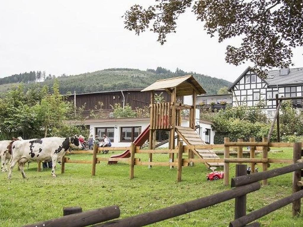 Ferienbauernhof Gördes 11 Zum Hömberg, 57392 Schmallenberg