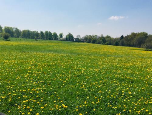 Ferienhaus am Menzerather Weiher