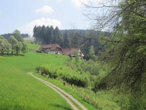 Appartements Ferienhaus Hubhof Auf der Hub 3 77784 Oberharmersbach Bade-Wurtemberg