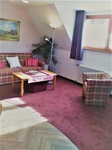 Appartements Ferienhaus im Park 9A Freiburger Straße 79856 Hinterzarten Bade-Wurtemberg