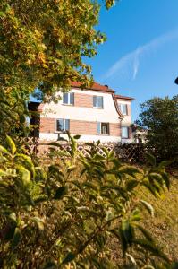 Ferienhaus Natur Pur
