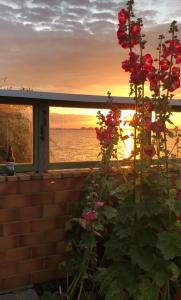 Ferienhaus Oppe