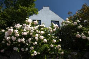 Ferienhaus Sonnensteg