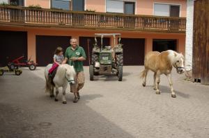 Ferienhof Amslinger