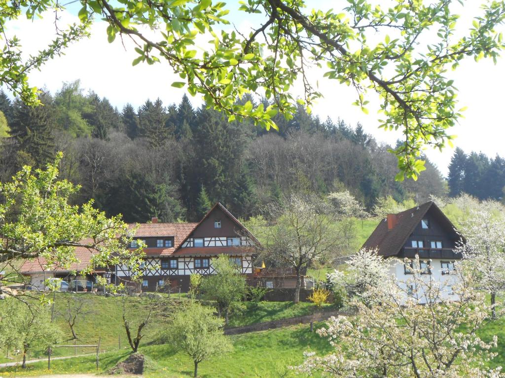 Ferienhof Fischer Busterbach 13, 77889 Seebach