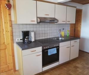 Appartements Ferienhof Jungkunz Rodeck 9 95131 Schwarzenbach am Wald Bavière
