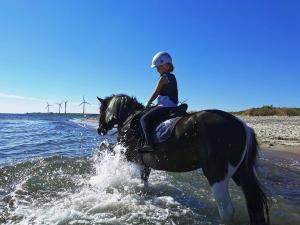 Ferienhof Nina Weilandt