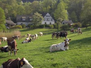Ferienhof Richard