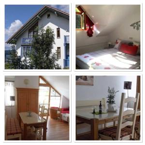 Ferienland Sonnenwald Fewo 46 und Studio 50 in Schöfweg Bayerischer Wald