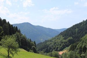 Appartements Ferienparadies Hugenhof Griesbach 22 79263 Simonswald Bade-Wurtemberg