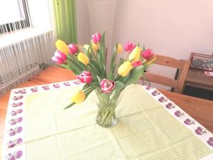Appartements Ferienwohnung-Alb 4 Eichenweg 72393 Burladingen Bade-Wurtemberg