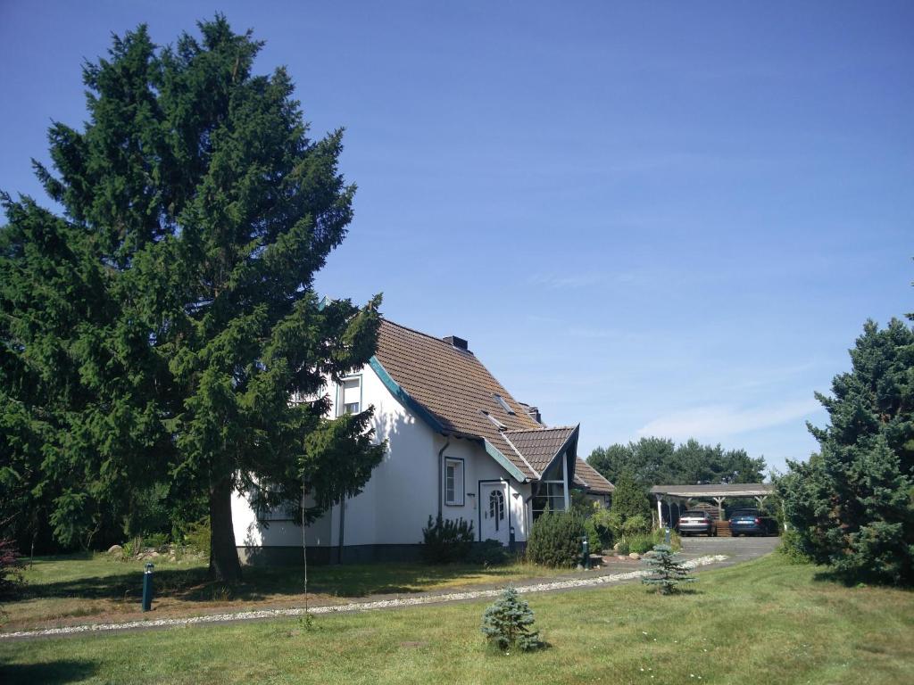 Appartements Ferienwohnung am Küstenwald 7 Ausbau 17449 Trassenheide