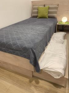 Ferienwohnung am Regierungsplatz