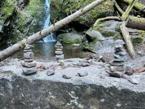Ferienwohnung am Schluchsee