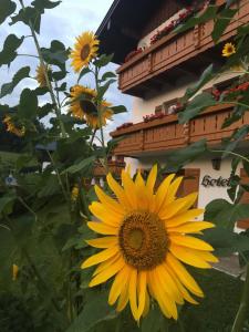 Ferienwohnung am Weiherbach