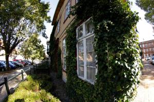Ferienwohnung an der Schelfkirche