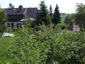 Ferienwohnung Aronia Garten