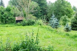 Ferienwohnung auf ehemaligen Bauernhof in der Nähe von Bamberg
