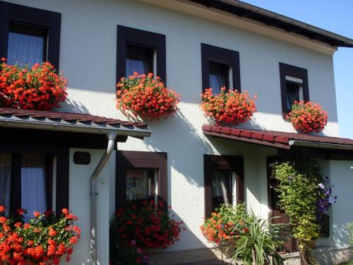 Ferienwohnung Bayer
