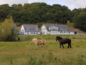 Ferienwohnung Bergholz