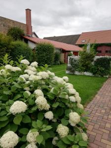 Appartements Ferienwohnung Blick zu den Sternen Alte Hauptstraße 16 15913 Hohenbrück Brandebourg