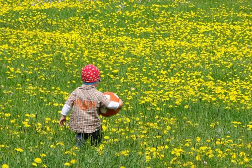 Ferienwohnung Böck, Wengen im Allgäu
