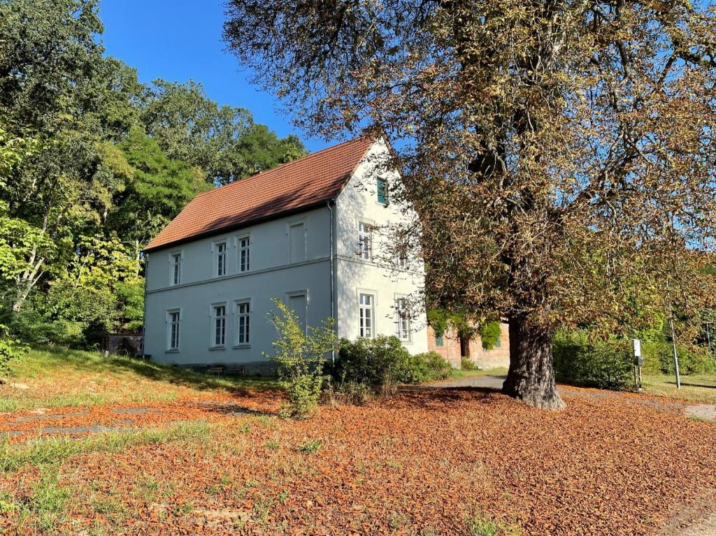 Ferienwohnung Gutshaus Granzow - Im Gutshaus wohnen Barenthiner Weg, 16866 Gumtow