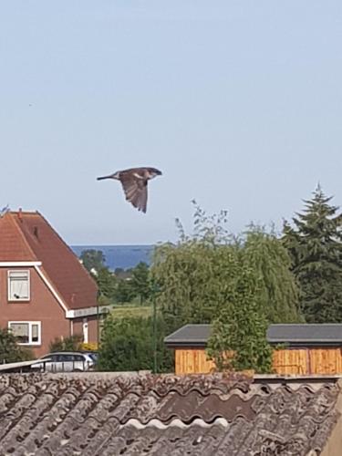 Ferienwohnung Haffblick
