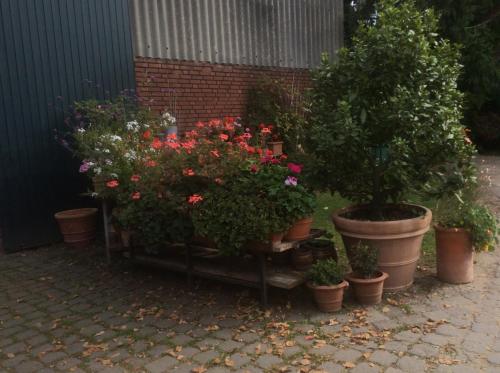 Ferienwohnung Haumannshof