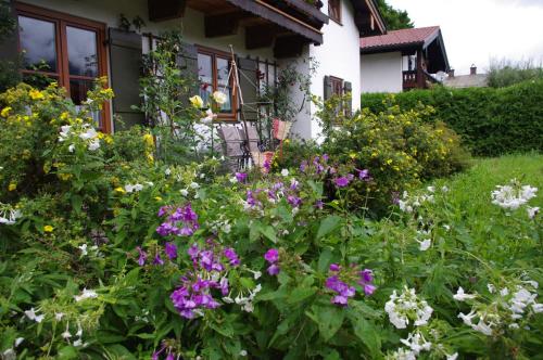 Ferienwohnung Haus Alpenrebe