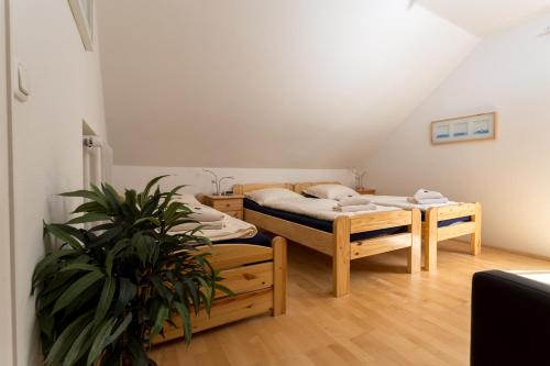 Ferienwohnung Haus Kloosterman