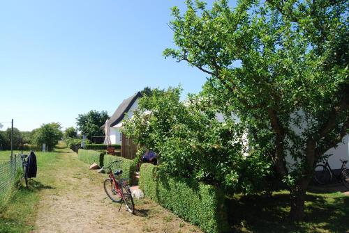 Ferienwohnung Hiddensee in Vitte