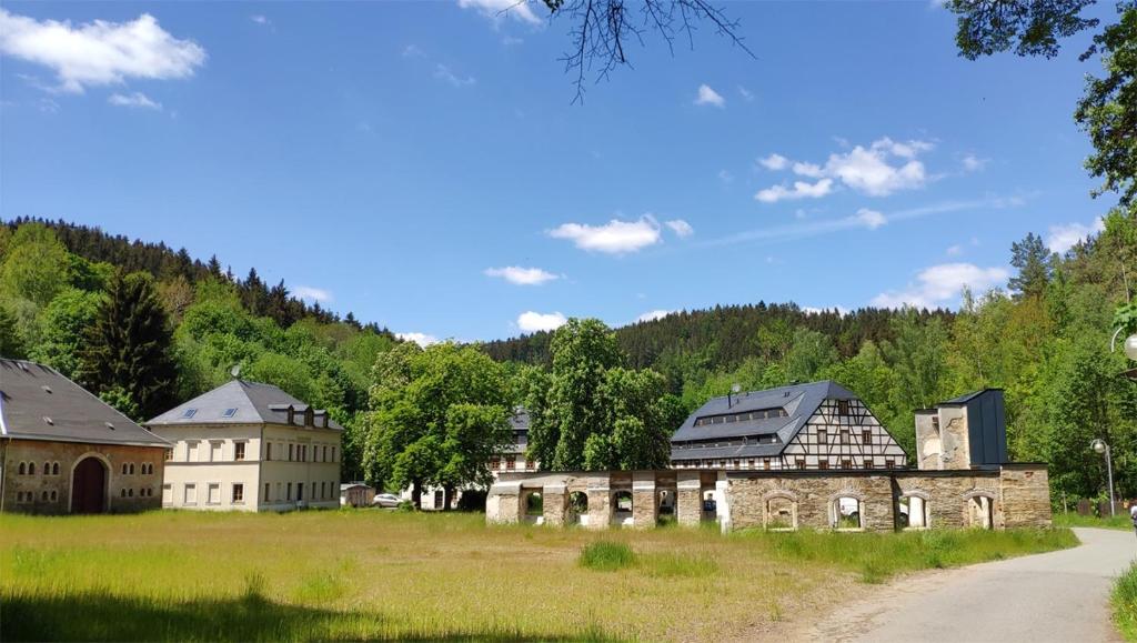 Appartements Ferienwohnung Himmelmühle Himmelmühle 09488 Thermalbad Wiesenbad