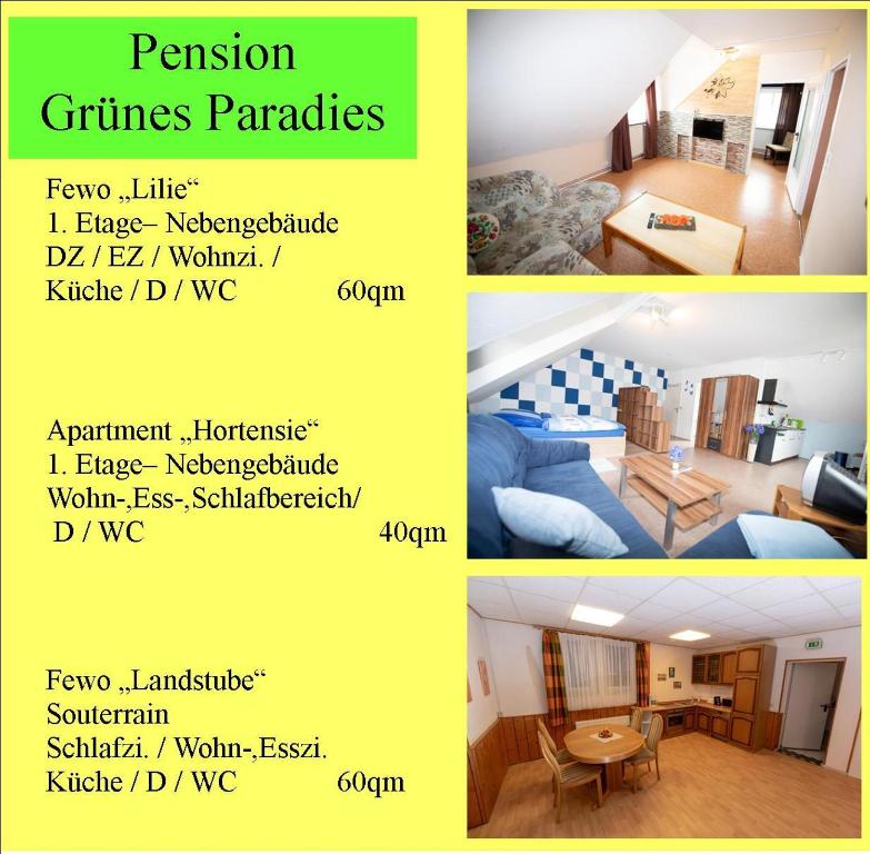 Appartements Ferienwohnung Hortensie Pension Grünes Paradies 8 Wiesenweg 36355 Grebenhain