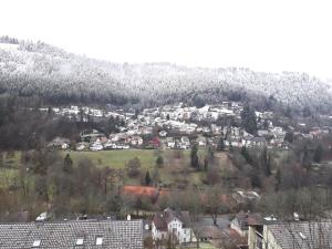 Ferienwohnung in ruhiger Waldrandlage