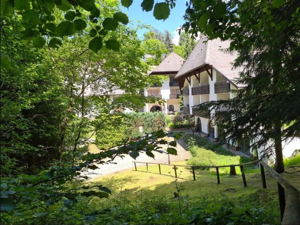 Ferienwohnung in Triberg am Waldrand - idyllisch, ruhig, erholsam 65 Im Hoflehen, 78098 Triberg im Schwarzwald