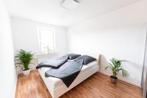 Ferienwohnung Martin 3 und 4