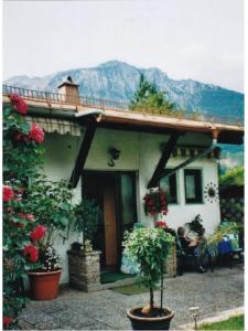 Ferienwohnung Meister