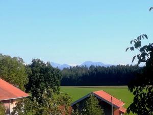 Appartements Ferienwohnung Moierhof Harpfetsham 12 83349 Palling Bavière