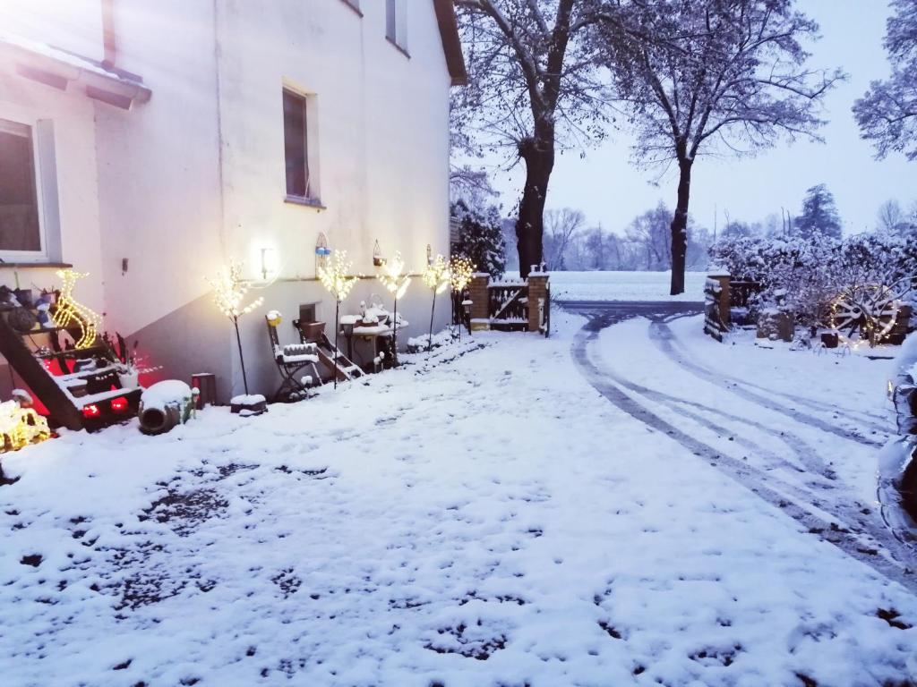 Ferienwohnung Monteurzimmer 8 Ortrander Straße, 04928 Plessa