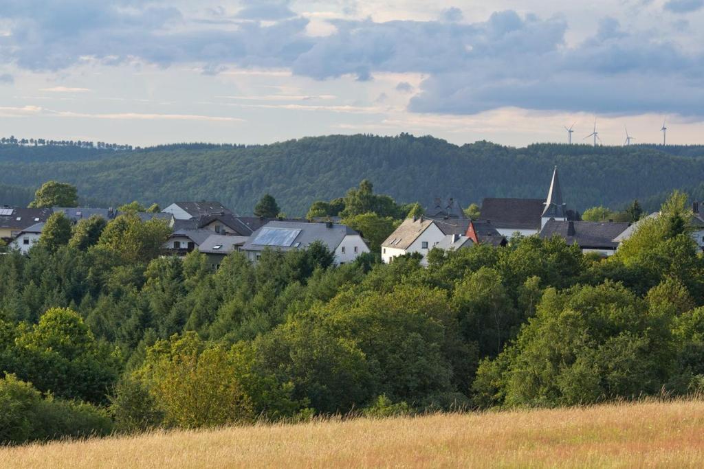 Ferienwohnung Nisius Auf der Köbs 17, 54413 Geisfeld