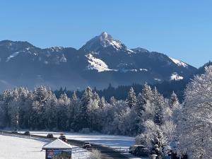 Appartements Ferienwohnung Schmetterer Rotwand Strasse 2a 83727 Schliersee Bavière