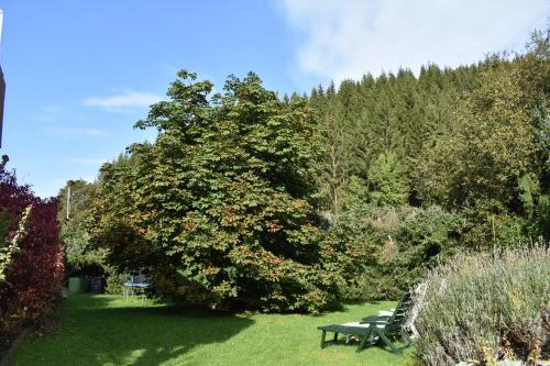 Ferienwohnung Sternkopf