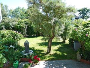 Ferienwohnung Trassenheide USE 3571